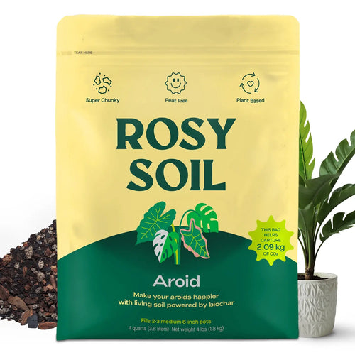 4 QT Rosy Aroid Soil