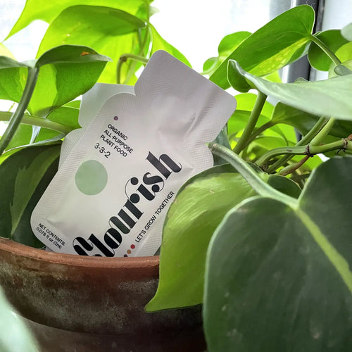 Flourish Plant Food Single Serving
