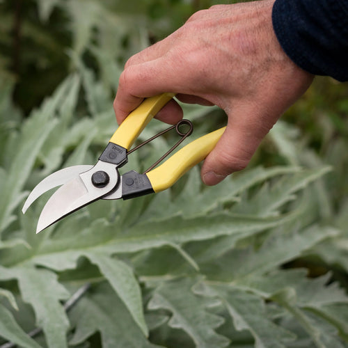 Niwaki Mainichi Secateurs- Right Handed and Small Right Hand