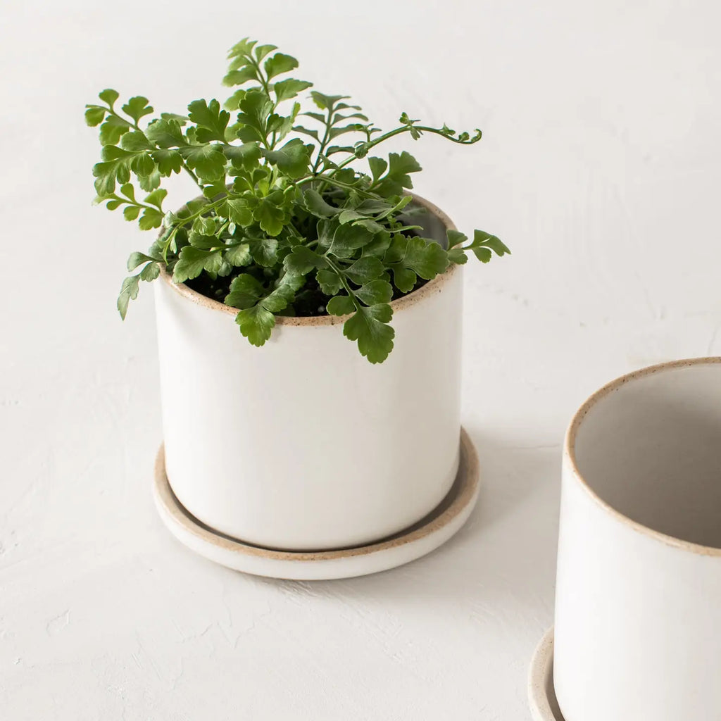 16cm plant pot Convivial Minimal Planter – GRDN