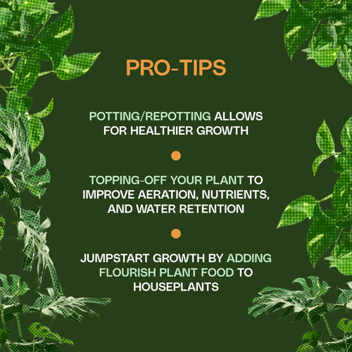 Flourish Organic Houseplant Potting Soil