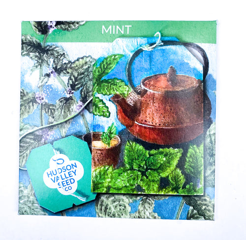 Mint From Hudson Valley Seed Company