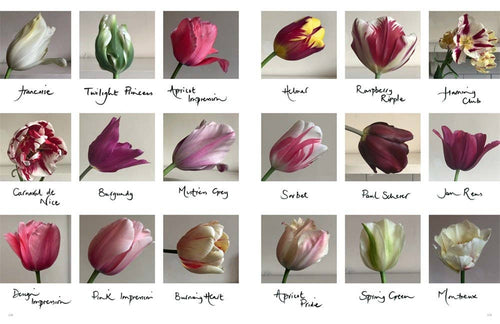 The Land Gardeners: Cut Flowers: Hardcover