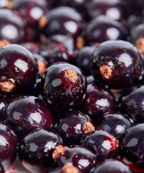 Ben Tirran Blackcurrant Preserve by Single Variety Co