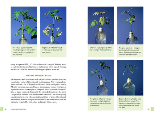 Botany for Gardeners
