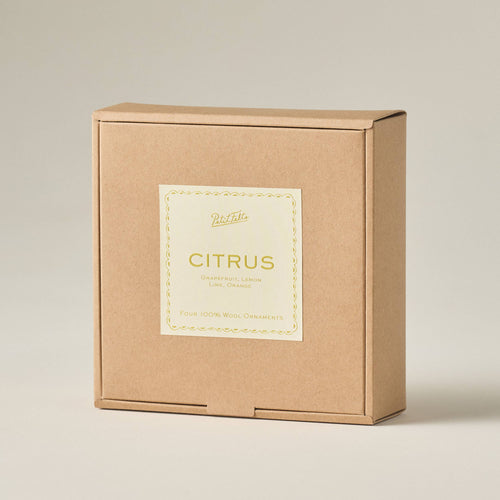 Citrus Ornament Set 