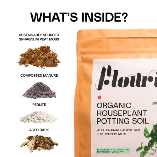 Organic Houseplant Potting Soil Resealable Bag 4 qt