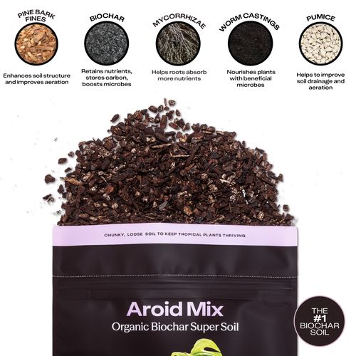 4qt Organic Aroid Mix for Indoor Plants