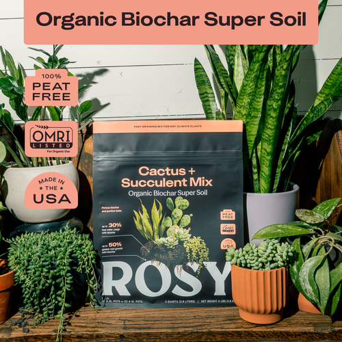 4qt Organic Cactus & Succulent Mix for Potted Plants