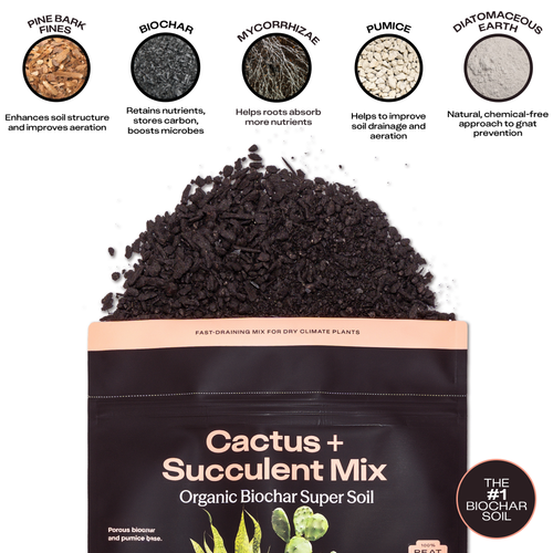4qt Organic Cactus & Succulent Mix for Potted Plants