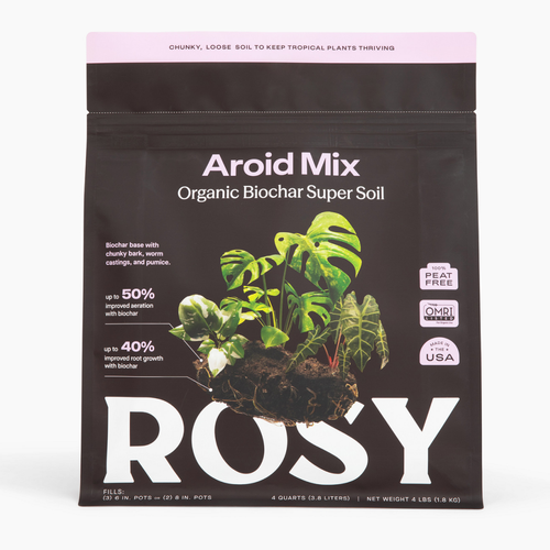 4qt Organic Aroid Mix for Indoor Plants