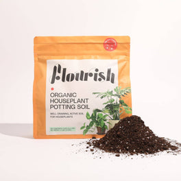 Organic Houseplant Potting Soil Resealable Bag 4 qt