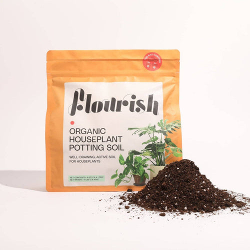 Organic Houseplant Potting Soil Resealable Bag 4 qt
