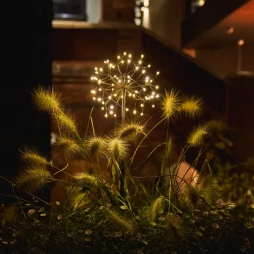 Mini Dandelion - Brown