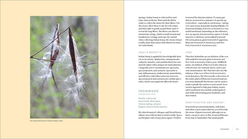 Iwigara: Hardcover