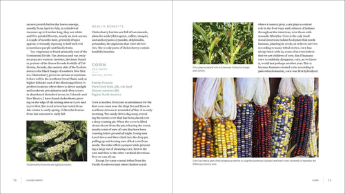 Iwigara: Hardcover