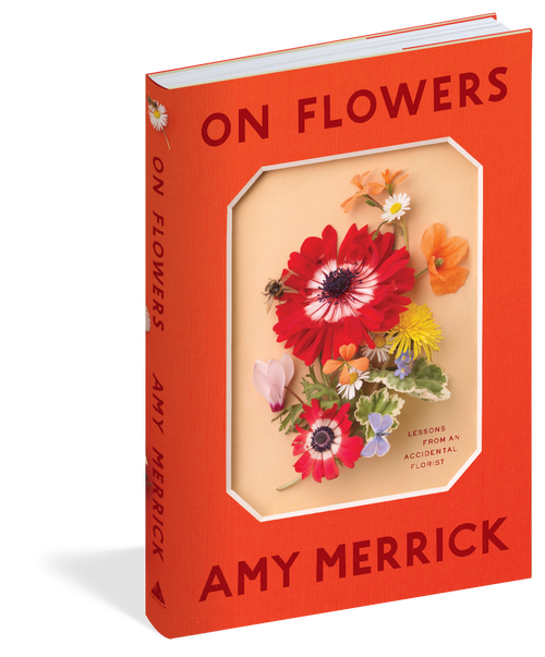On Flowers by Amy Merrick