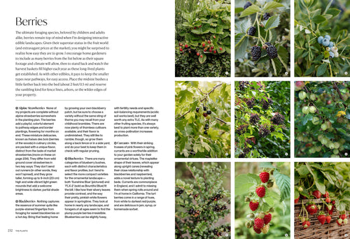 The Food Forward Garden