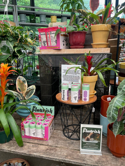 All-Purpose Organic Plant Food -Liquid Fertilizer