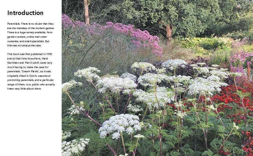 Planting the Natural Garden