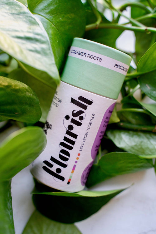 All-Purpose Organic Plant Food -Liquid Fertilizer