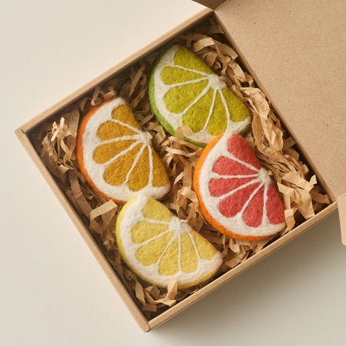 Citrus Ornament Set 