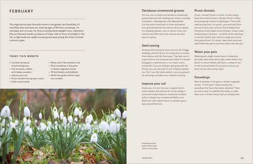 How to Design Garden