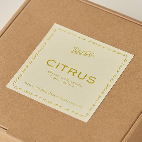 Citrus Ornament Set 