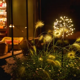 Mini Dandelion - Brown