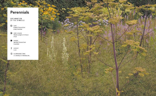 Planting the Natural Garden