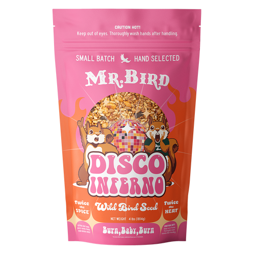 Disco Inferno Bagged Seed