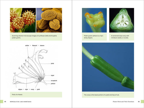 Botany for Gardeners