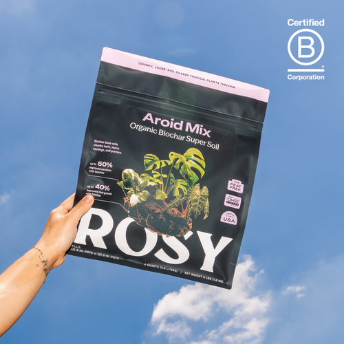 4qt Organic Aroid Mix for Indoor Plants