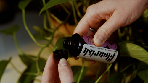 All-Purpose Organic Plant Food -Liquid Fertilizer