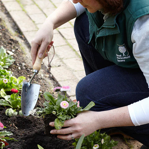 Hand Trowel by Burgon and Ball