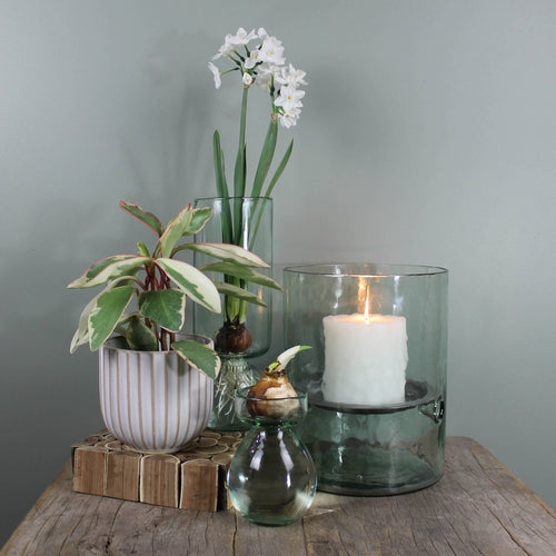 Bulb Vase