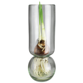 Bulb Vase
