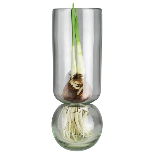 Bulb Vase