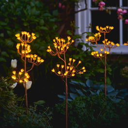 Solar Fennel Branch