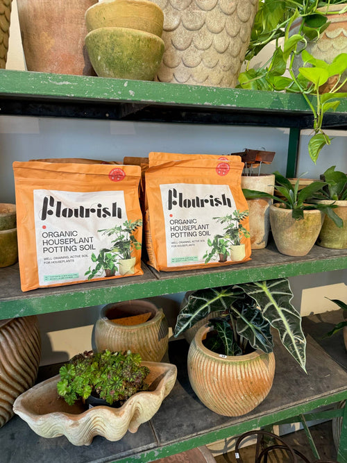 Organic Houseplant Potting Soil Resealable Bag 4 qt