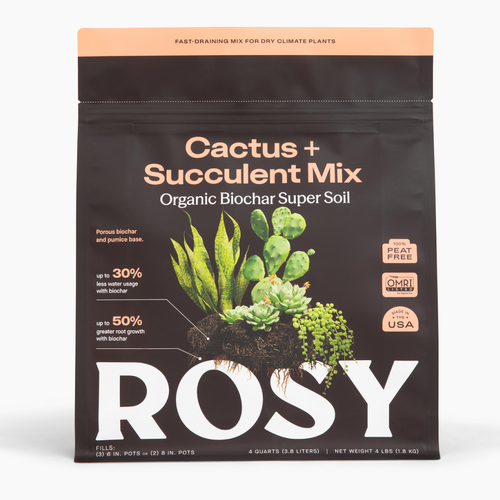 4qt Organic Cactus & Succulent Mix for Potted Plants