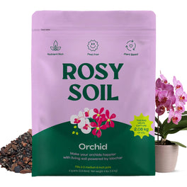 4 QT Rosy Orchid Mix