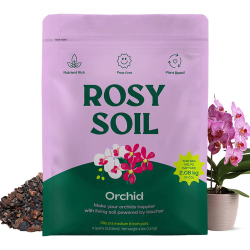 4 QT Rosy Orchid Mix