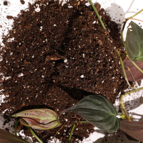 Organic Houseplant Potting Soil Resealable Bag 4 qt