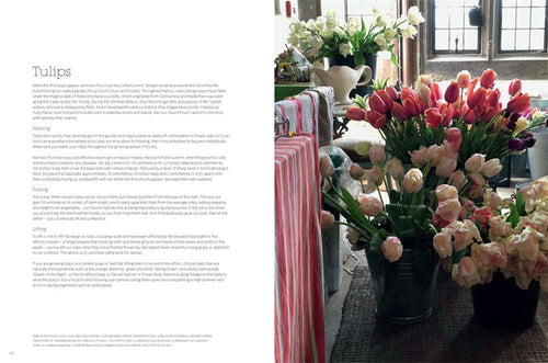 The Land Gardeners: Cut Flowers: Hardcover