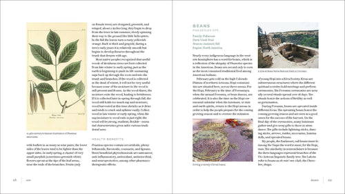 Iwigara: Hardcover
