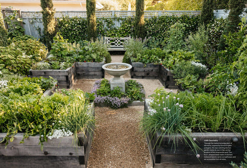The Food Forward Garden