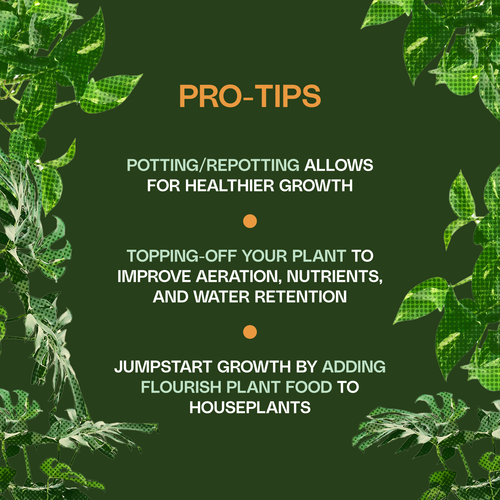 Organic Houseplant Potting Soil Resealable Bag 4 qt