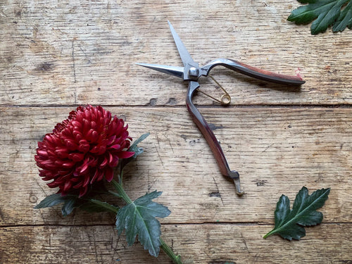 Niwaki Kurami Pro Snips