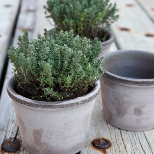 Bergs Potter Parade Pot Grey